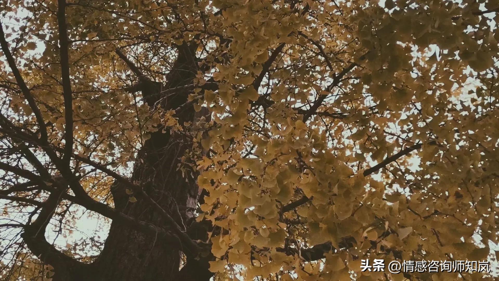 一个人为什么会莫名其妙的想哭（为什么一个人总莫名的流泪）
