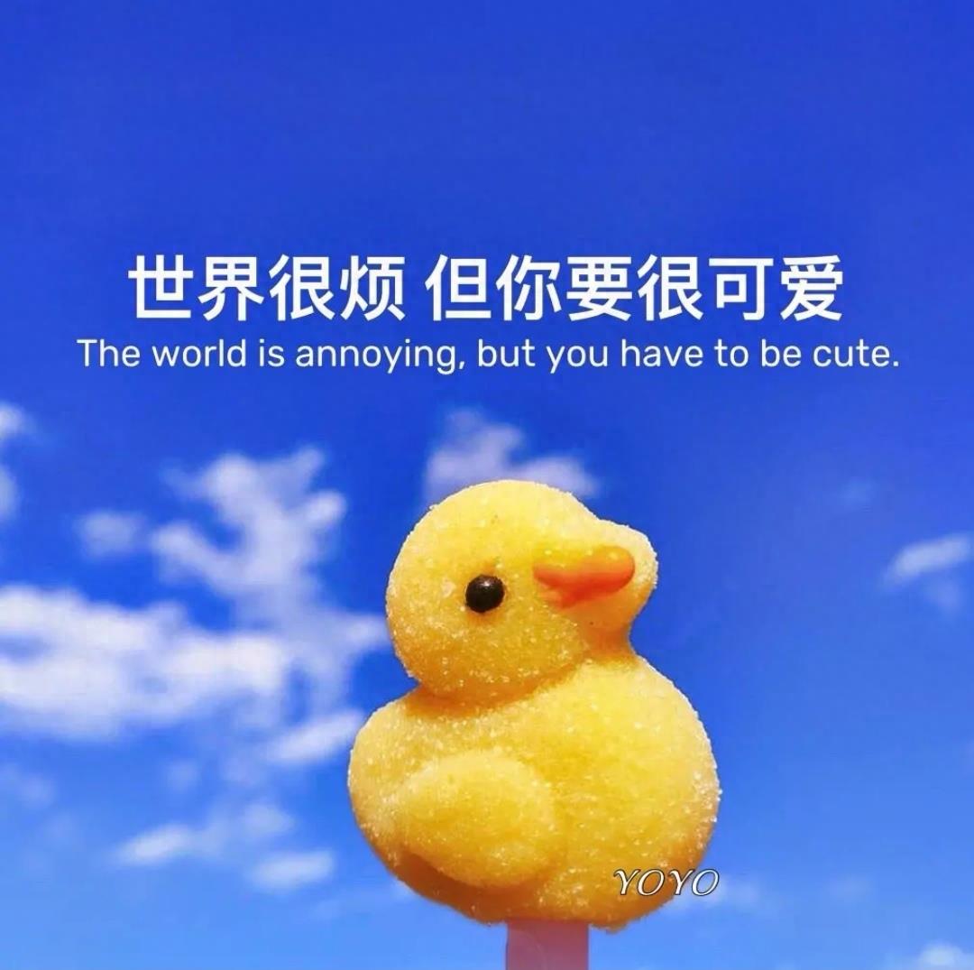 给男朋友的一封信(写给未来男朋友的一封信)