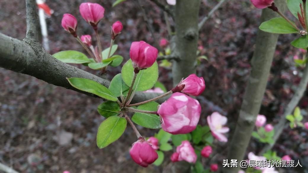 灵魂有趣的女人句子（灵魂有趣的女人句子图片）