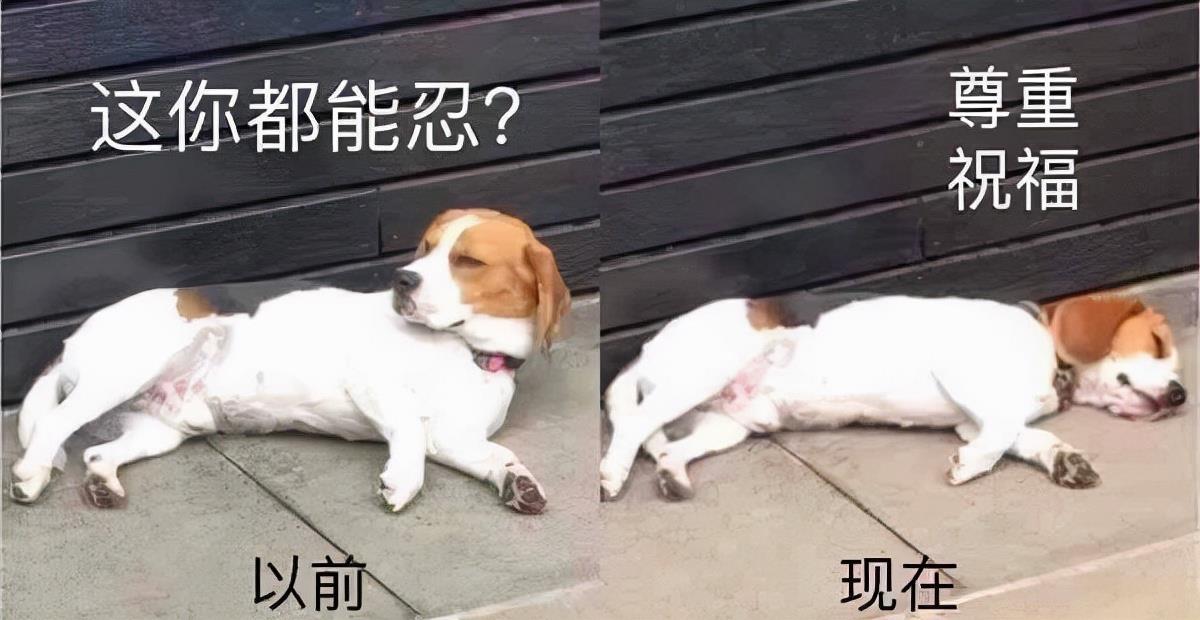 西安男子因家暴妻子被撤职,妻子:并不想分开