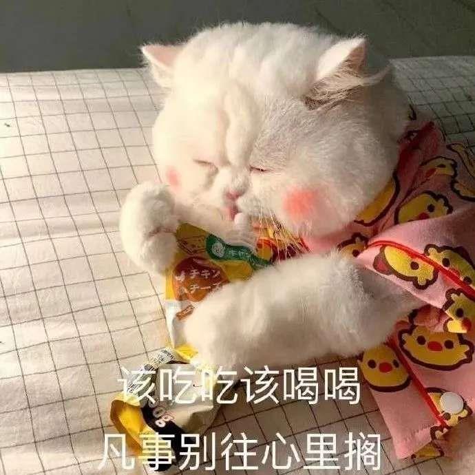 10个超短却能让人爆笑的冷笑话(盘点小白兔冷笑话大全)