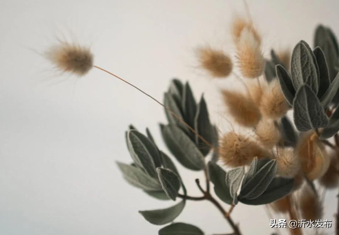 中国古代八大爱情故事(哪个让你感动到落泪)