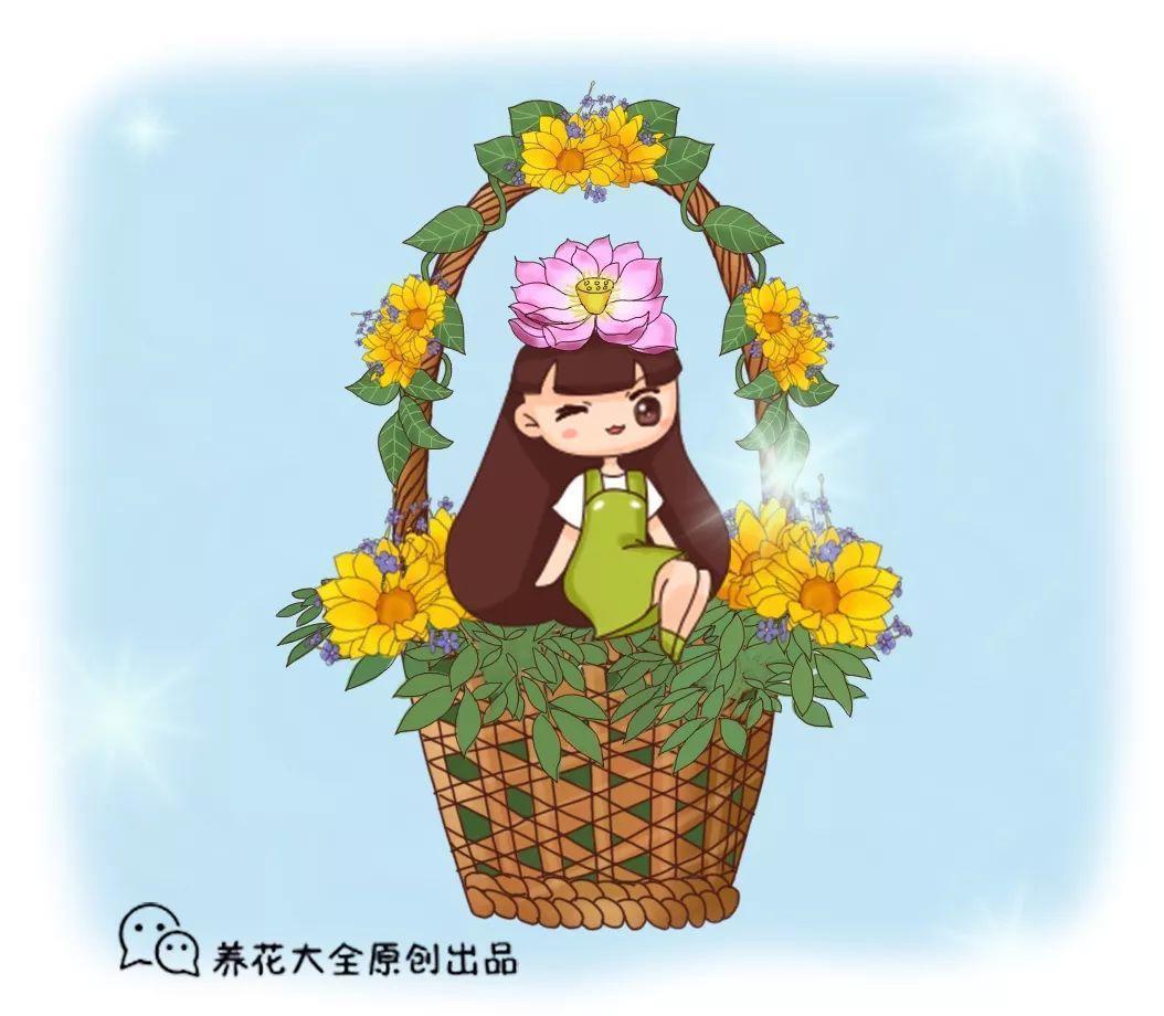 快看自己的生日 你属于哪种生日花语(365天对应365种花)