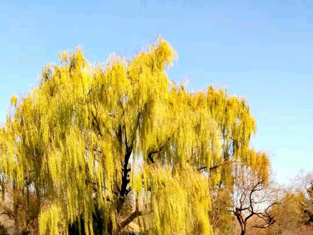 激励自己一路前行的美句(愿你心怀希望 砥砺前行)
