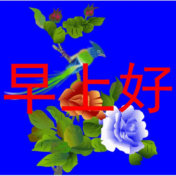 人生至到最后一刻才明白（经历岁月沧桑才明白人生的真谛）