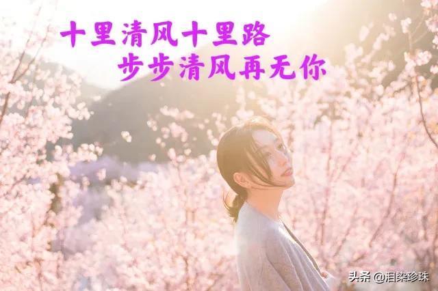 珍惜朋友情谊的句子(精选12条时光不老友谊不散的文案)