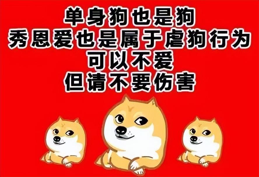 单身狗如何优雅的过情人节(这里有份情人节单身生存指南)