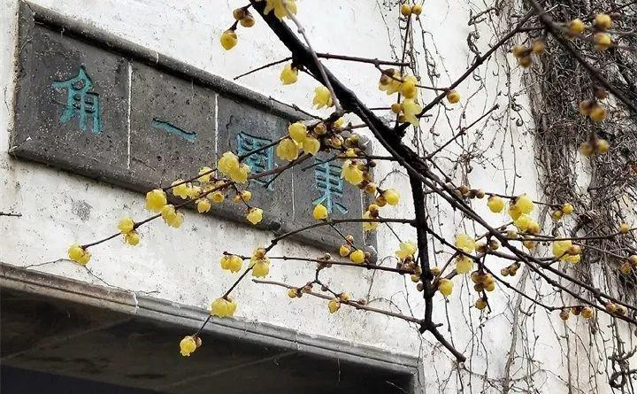 快看自己的生日 你属于哪种生日花语(365天对应365种花)