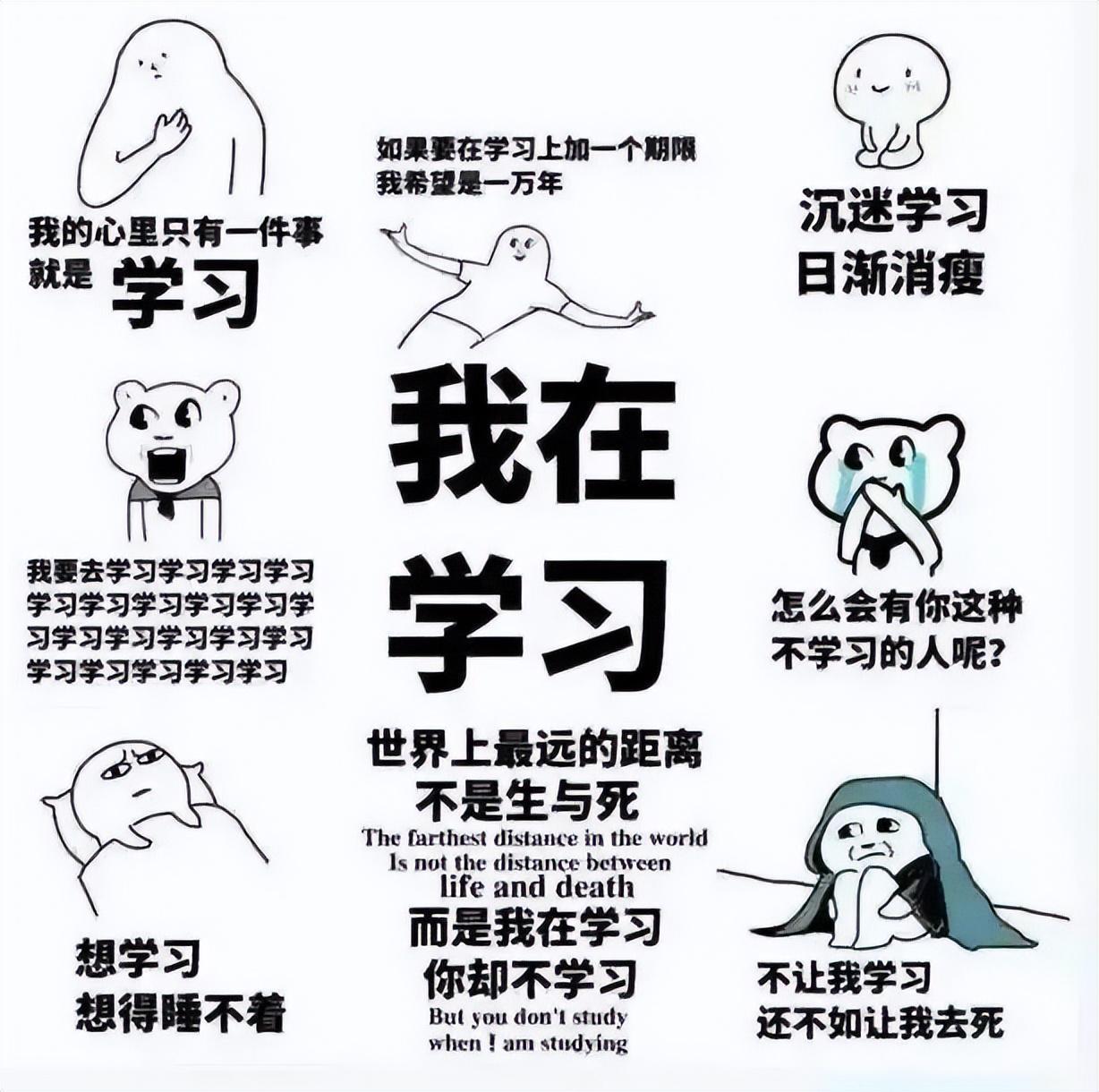 单身狗如何优雅的过情人节(这里有份情人节单身生存指南)