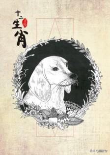 12生肖的传说故事外传（12种动物背后的文化象征和寓意）