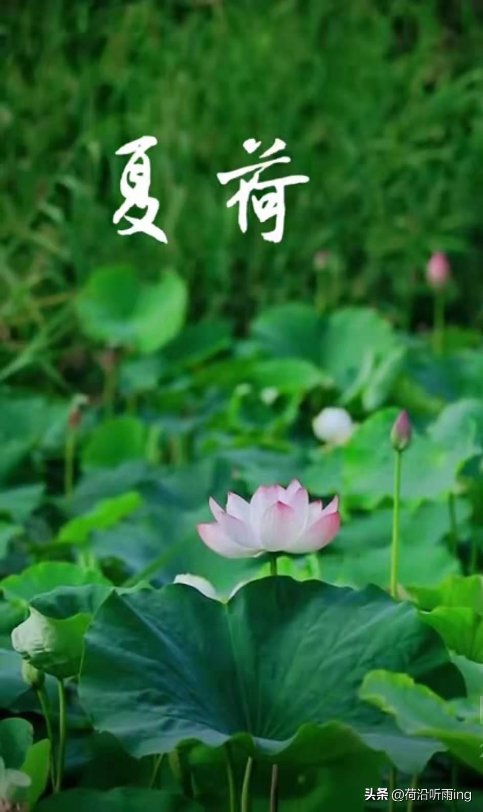 常说的责任感是什么(浅谈做人做事负责任的态度)