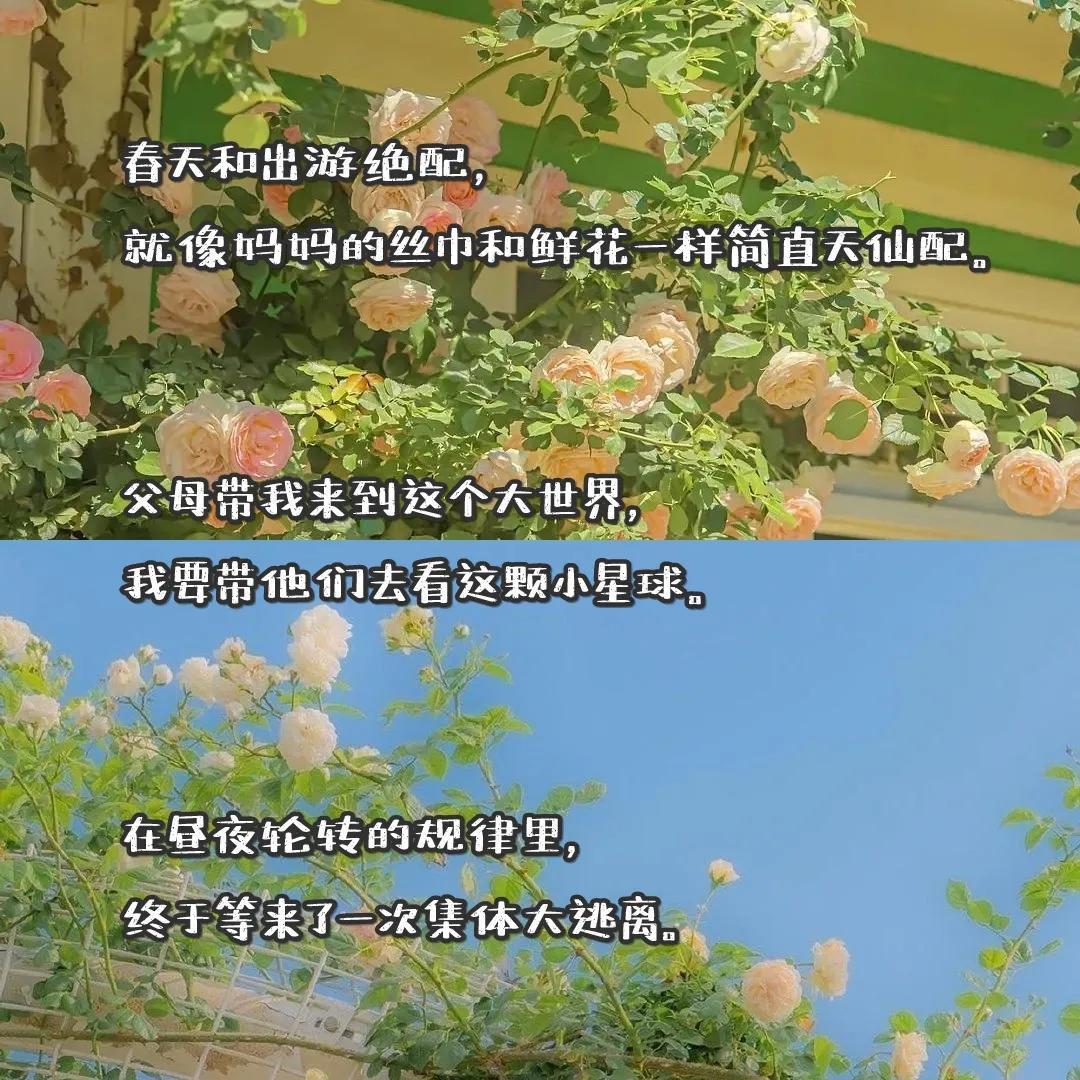 陪爸妈旅游幸福的句子(带爸妈旅行的唯美朋友圈)