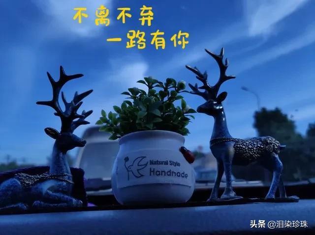 珍惜朋友情谊的句子(精选12条时光不老友谊不散的文案)
