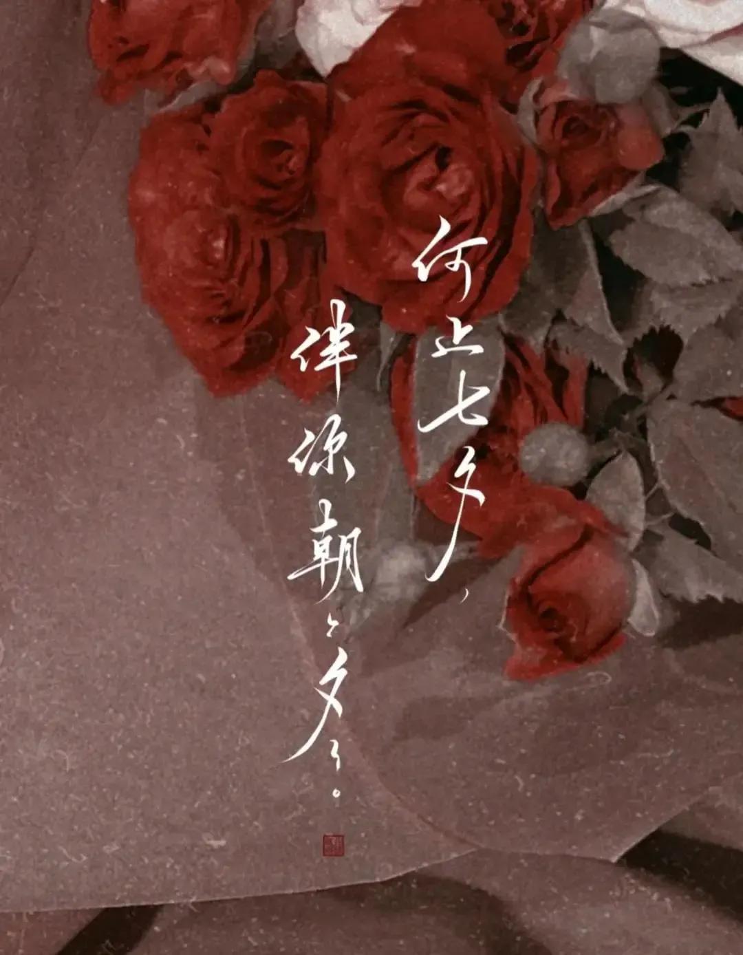 七夕说说短句唯美句子(适合七夕节发朋友圈的12条说说)