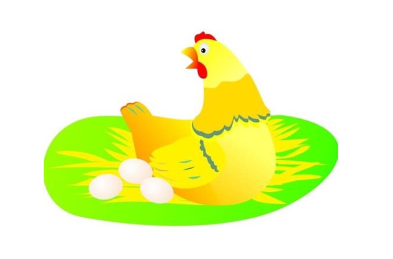 梦到鸡下蛋代表什么（详解鸡下蛋的梦境含义）