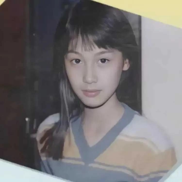 朱茵紫霞仙子朱茵介绍(11岁时就是美人胚子)