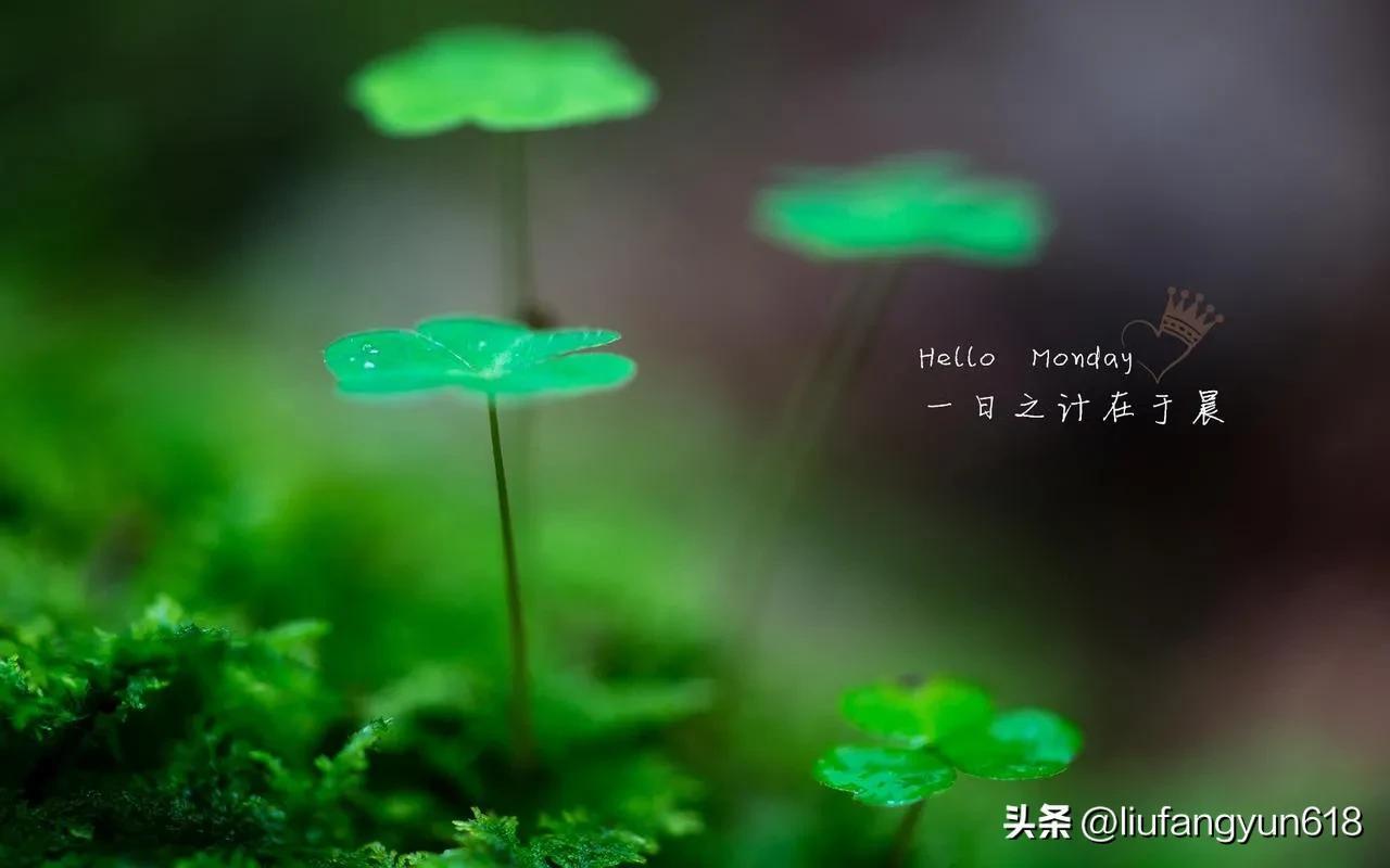 体会百味人生范文(尝尽人生百味方知人间冷暖)