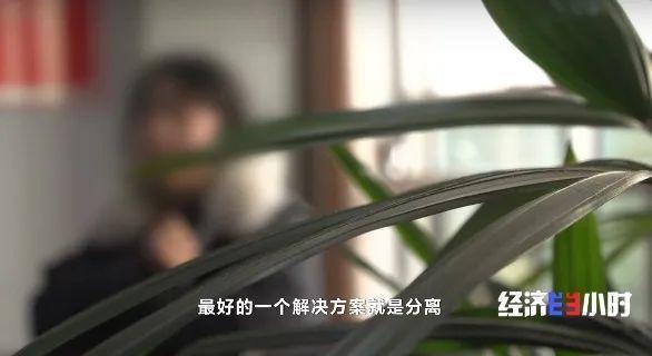 情感挽回机构真的能挽回感情吗（情感挽回机构可信吗）