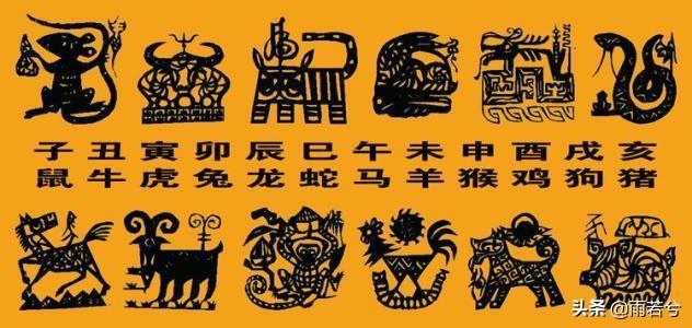 12生肖的传说故事外传（12种动物背后的文化象征和寓意）