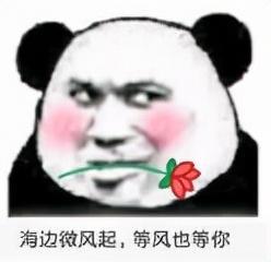 什么软件聊污的女生多(现在女孩子都玩什么社交软件)