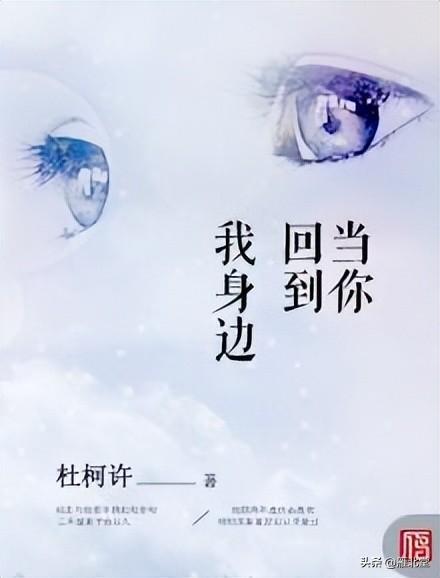 虐心小说现言催泪推荐(分享四本高能催泪又虐又爱的小说)