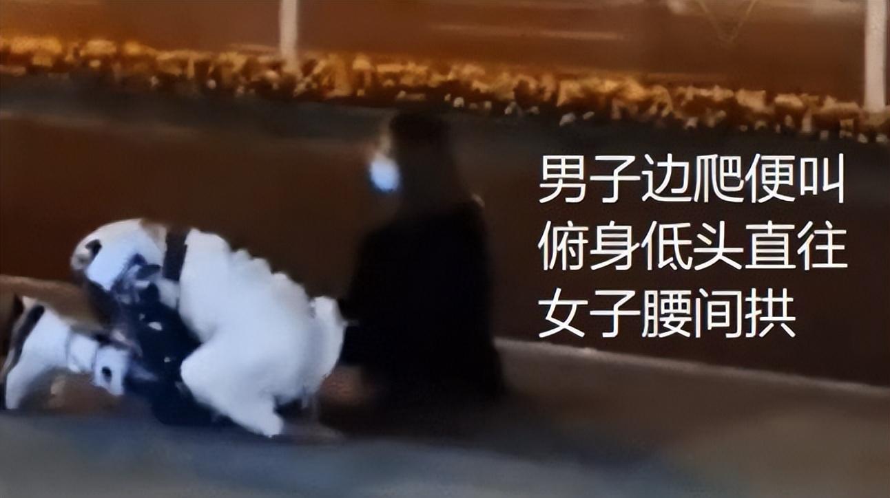男生给女生下跪当狗（男生给女生当舔狗图片）