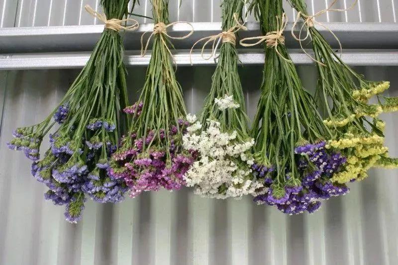 这5个方法都能轻松制作精美的干花(让花朵不褪色 长久可以观赏)