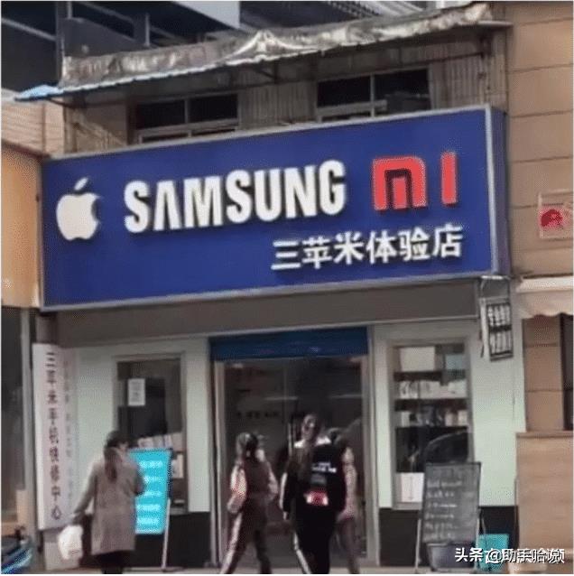 小母狗是什么意思（小狗狗是什么生肖）