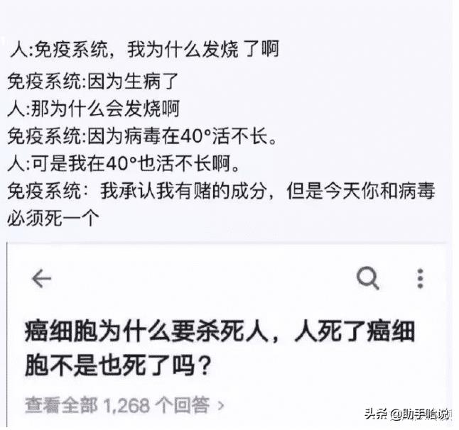 小母狗是什么意思（小狗狗是什么生肖）