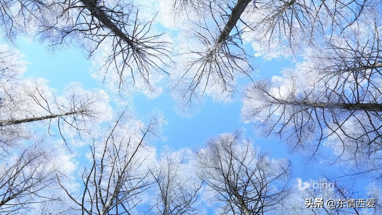 表示自己有苦说不出的句子(精选30句心里有苦的伤感文案)
