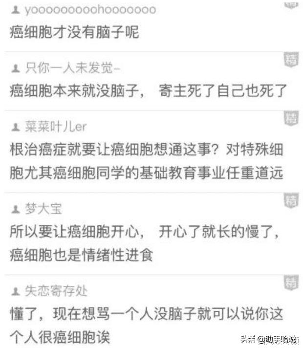 小母狗是什么意思（小狗狗是什么生肖）