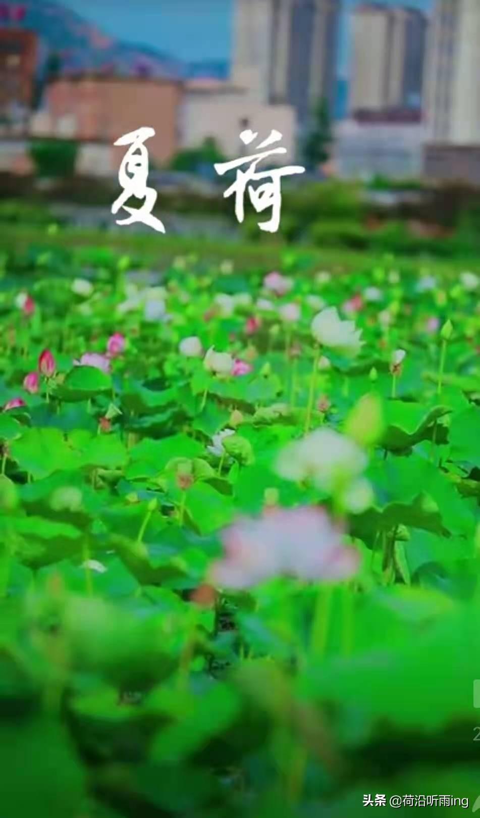 常说的责任感是什么(浅谈做人做事负责任的态度)