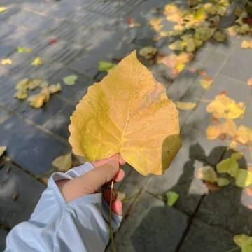七夕最甜最撩的土味情话（七夕很甜蜜的土味情话）