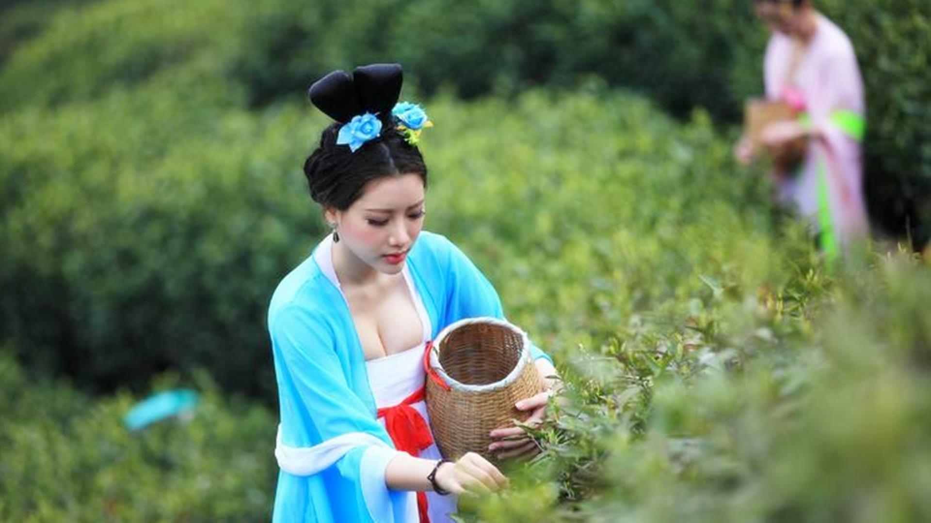 现代三从四德指的是什么(简述三从四德的来源)
