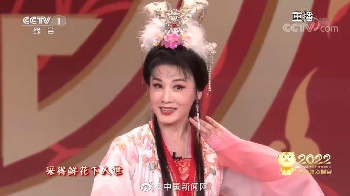 为友谊干杯表情包女主上春晚了，气质满满