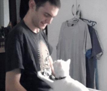 养猫的男生会很娘吗(真男人的表现 值得你托付终生)