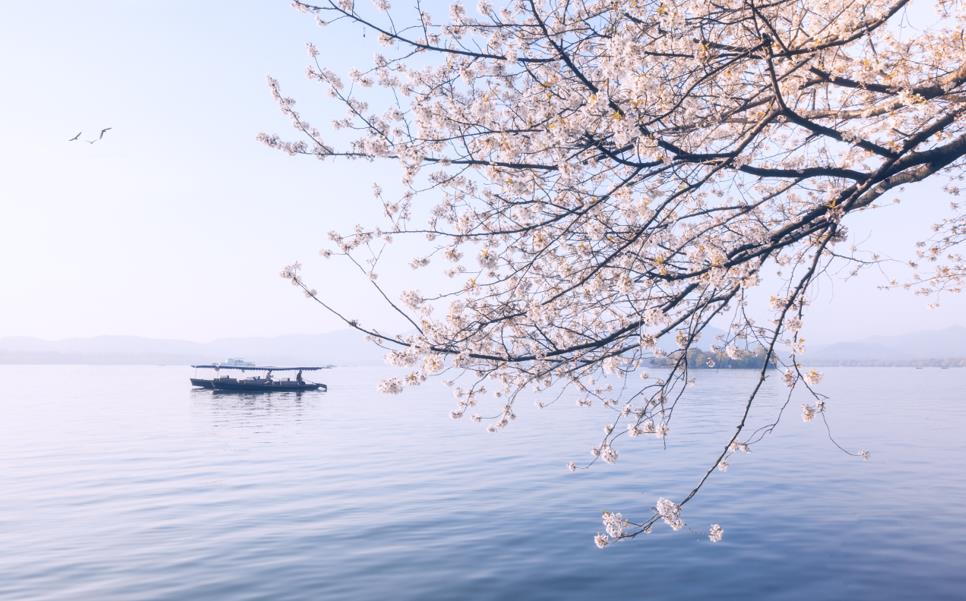 细节决定成败 这些例子让你受益匪浅(五个生动的例子告诉你重要性)