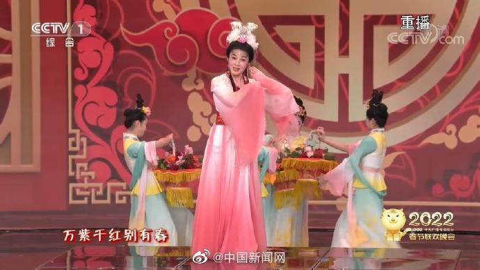 为友谊干杯表情包女主上春晚了，气质满满