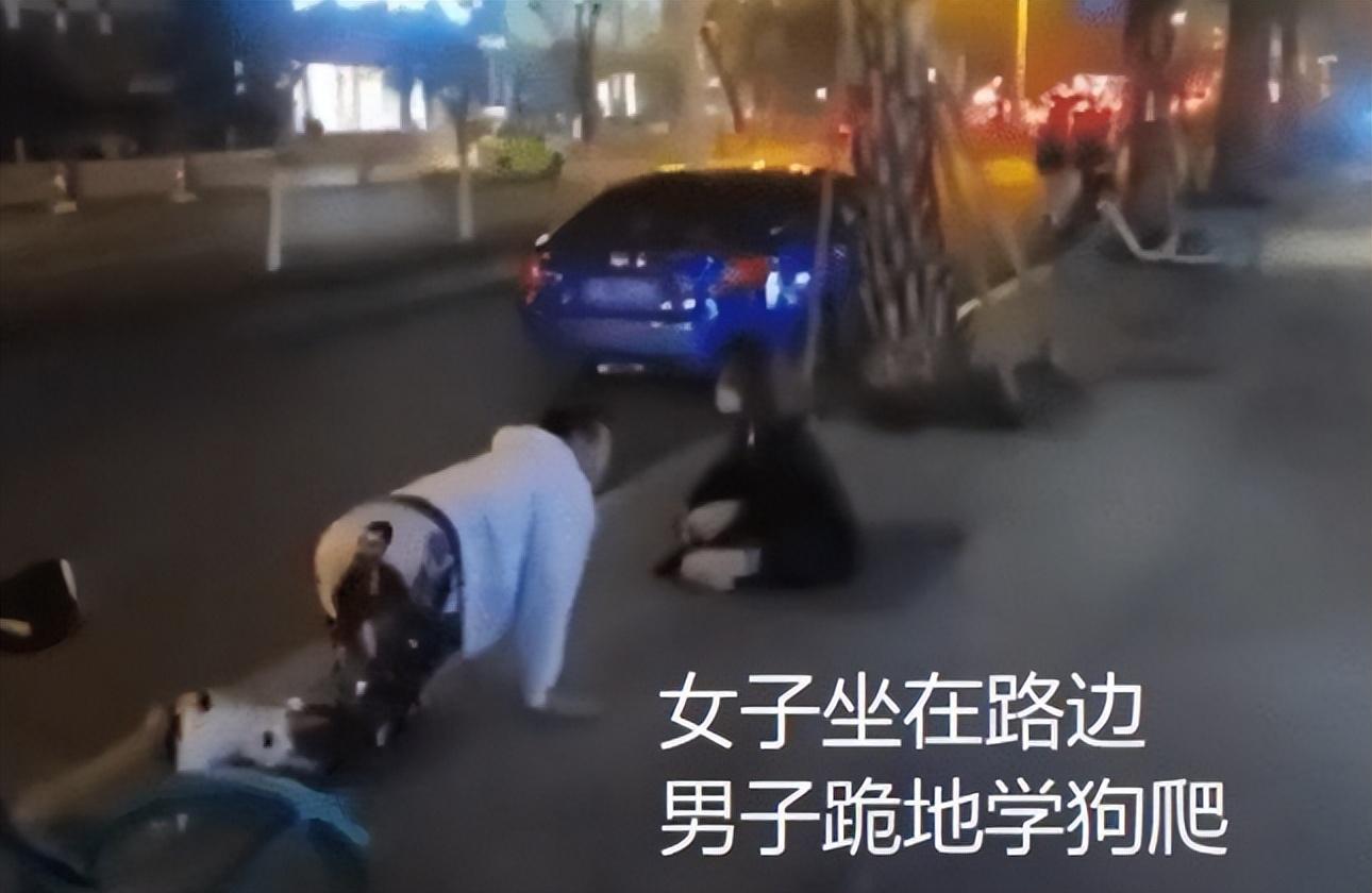男生给女生下跪当狗（男生给女生当舔狗图片）