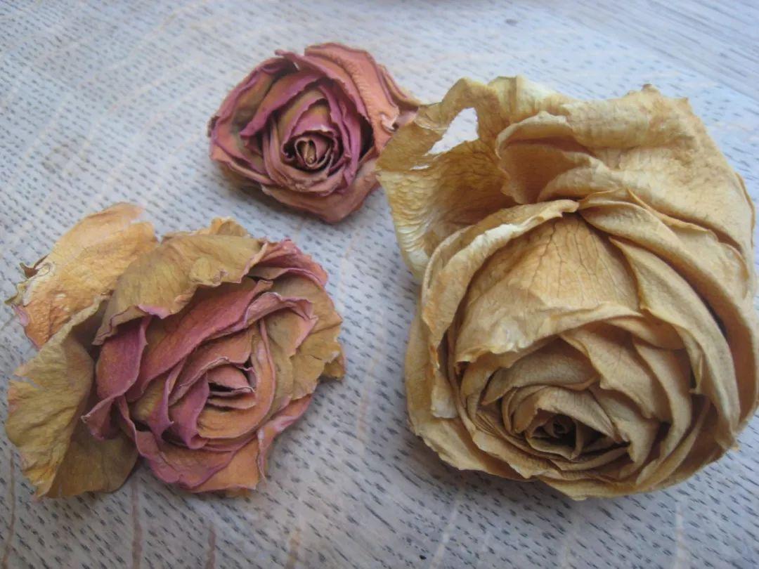 这5个方法都能轻松制作精美的干花(让花朵不褪色 长久可以观赏)
