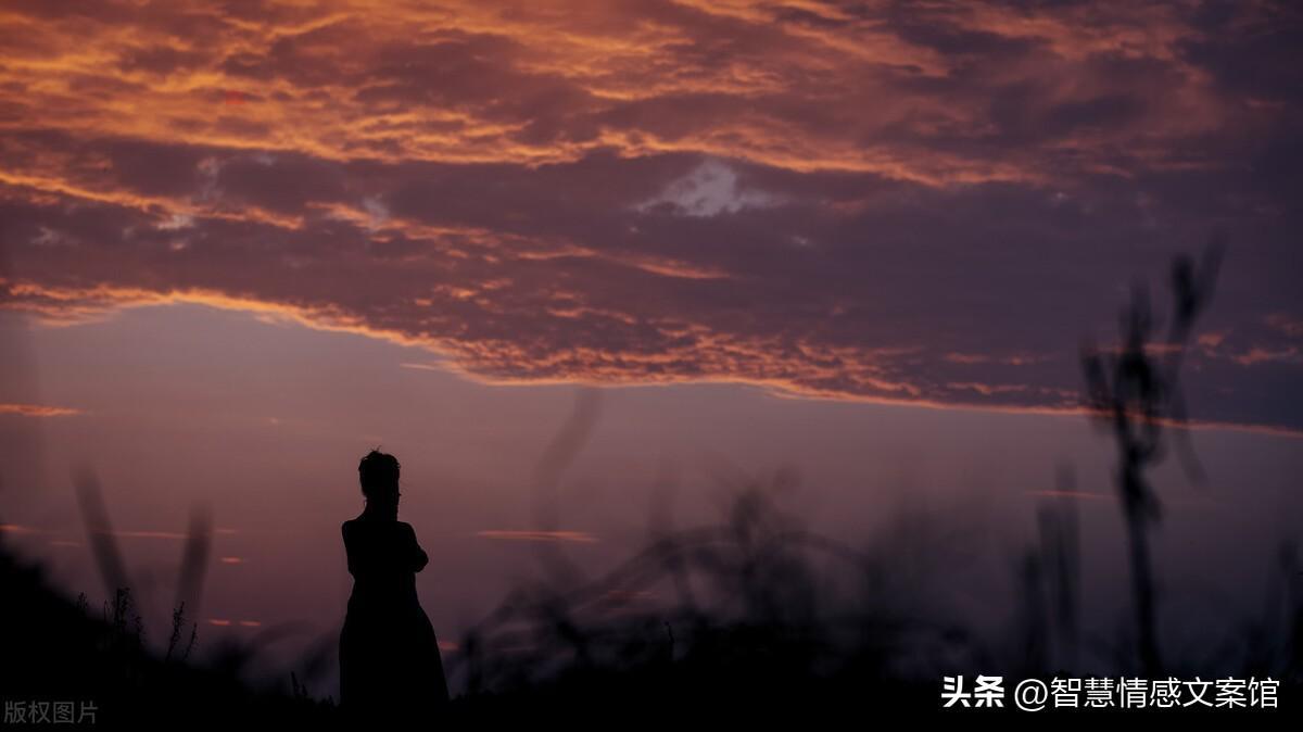 关于亲情的名言警句简短（精选50句感人至深的亲情句子）