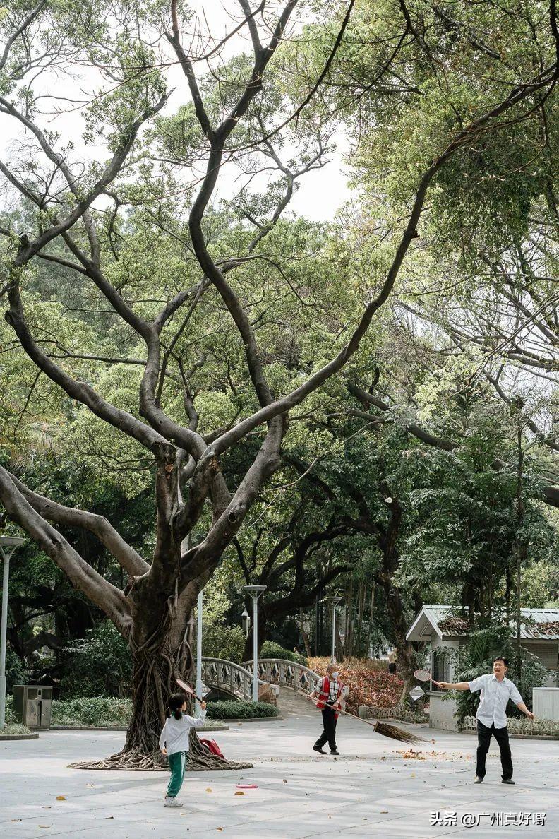 广州上世纪这8个威水的地点(超适合情侣来次复古约会)