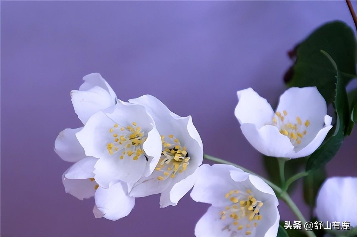为什么说无事献殷勤非贱即盗(盘点事若反常必有妖的四种情况)