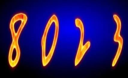 表示爱的数字(8023代表了什么)
