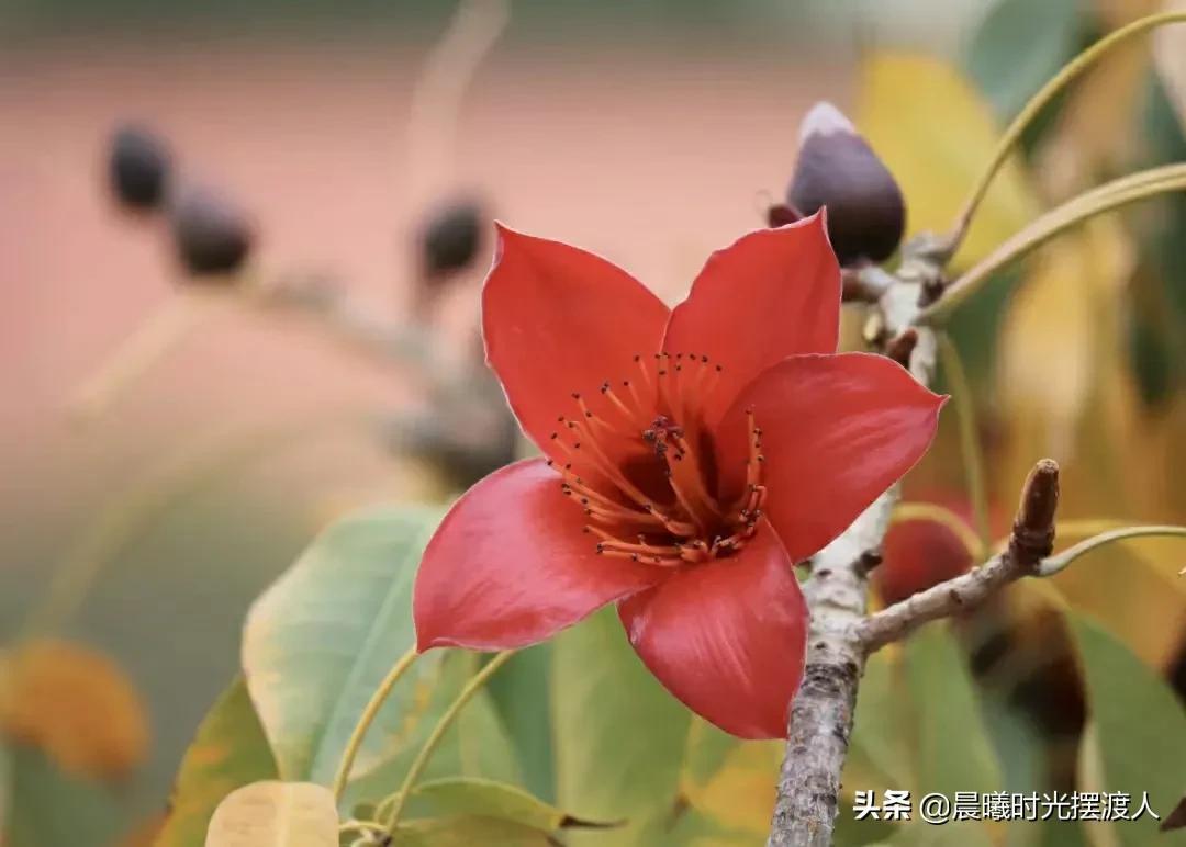 灵魂有趣的女人句子（灵魂有趣的女人句子图片）