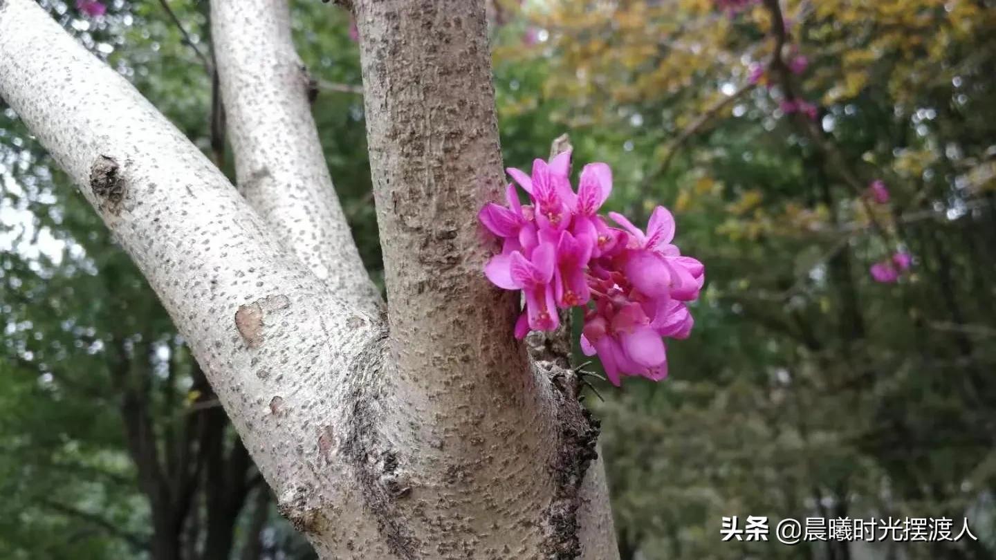 灵魂有趣的女人句子（灵魂有趣的女人句子图片）