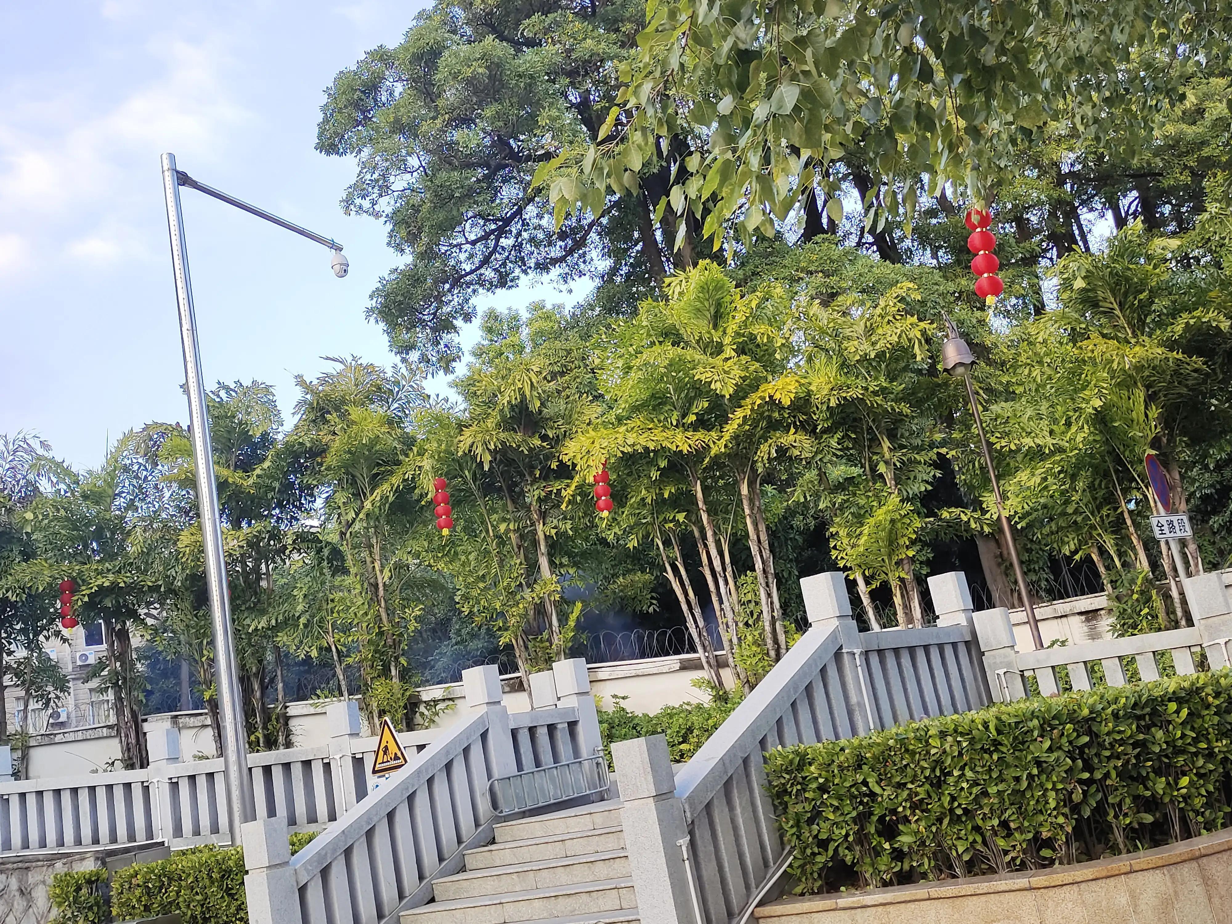 也许每个人都是孤独的(生活的最本质就是孤独中寻找自己)