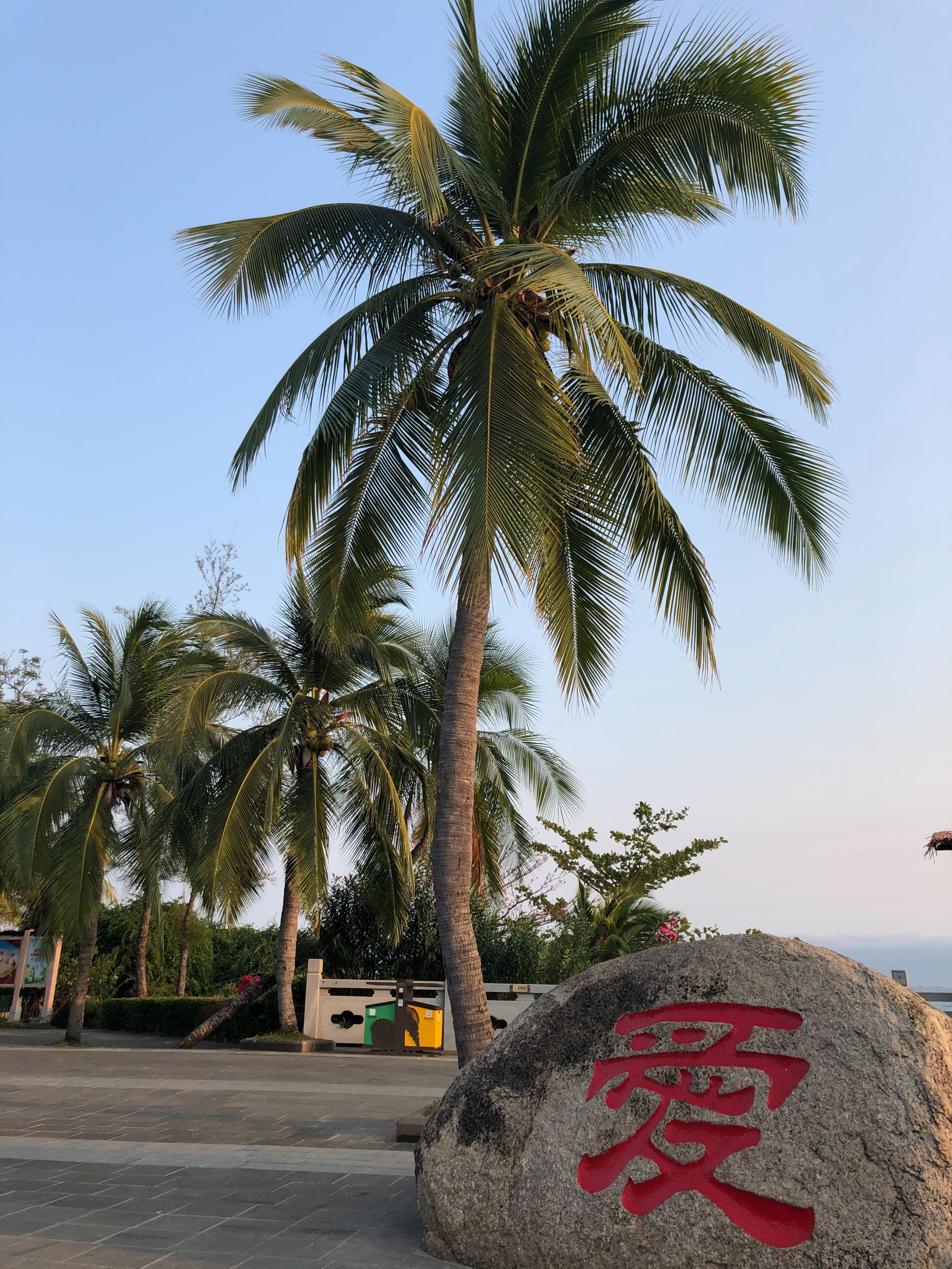 送母亲生日礼物有讲究(送这几样她更开心,原因都在这里)