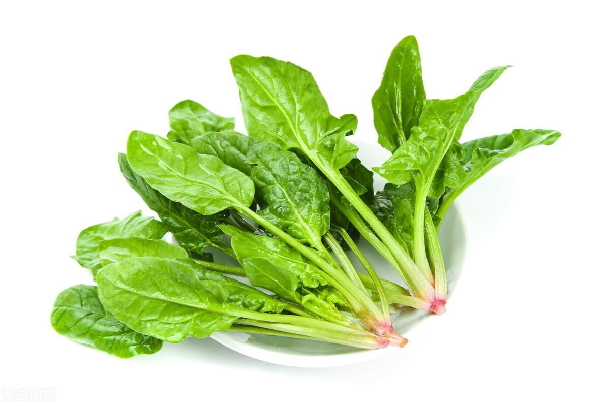 干燥季节吃什么食物补水效果最好(盘点8种补水效果最好的食物)