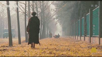 橘里橘气的电影（橘里橘气因为爱你微电影）